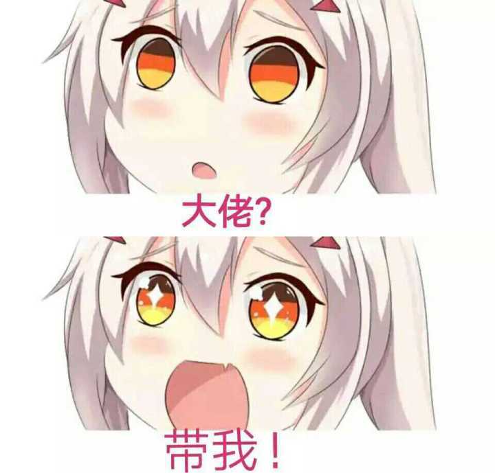 表情包:瞧见没 那就是大佬